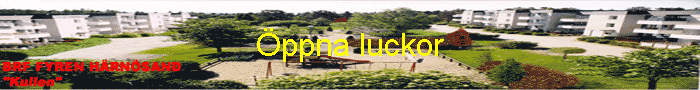 �ppna luckor
